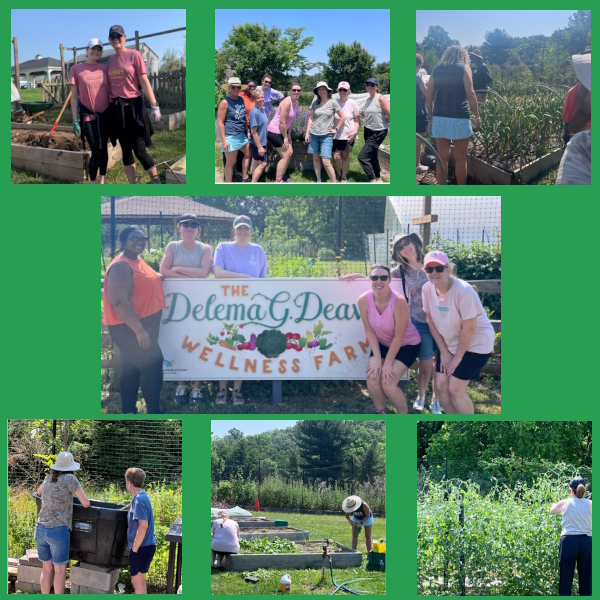 DVACO volunteers